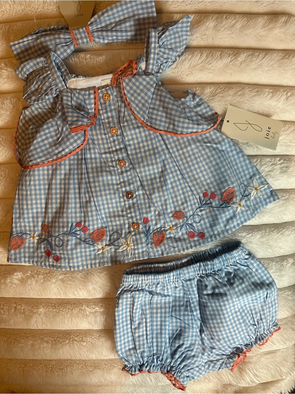 Joie Blue Gingham Girls Matching Set with Coral Embroidery